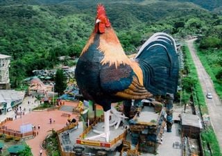 ¿Dormirías sobre un gallo gigante? En Filipinas es posible