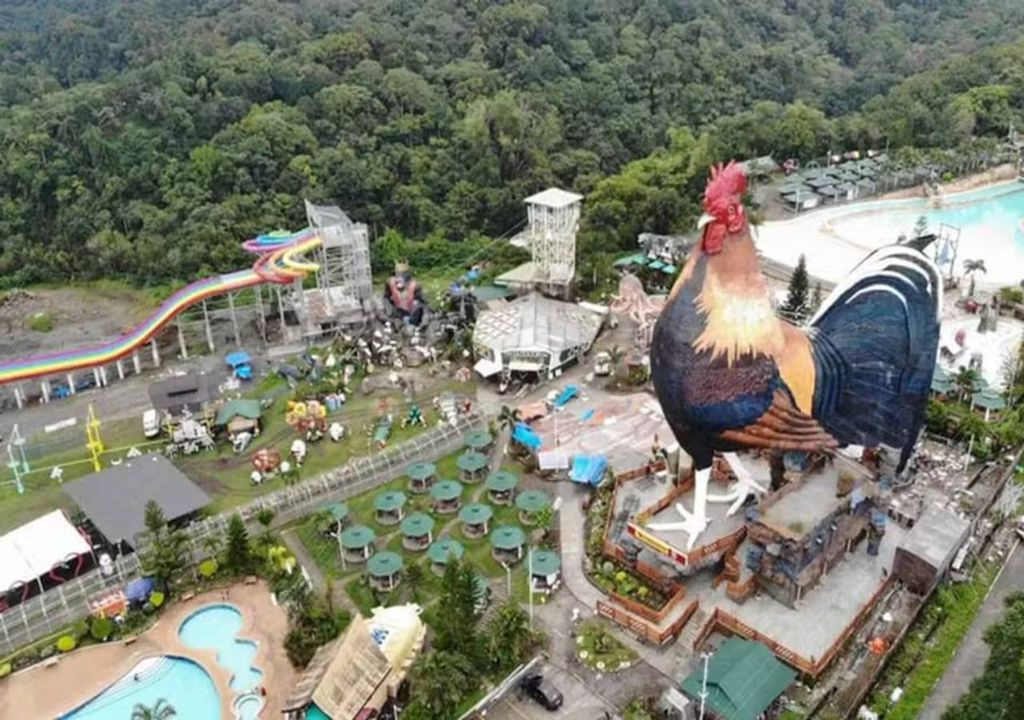 Dormir num galo gigante? Nas Filipinas é possível