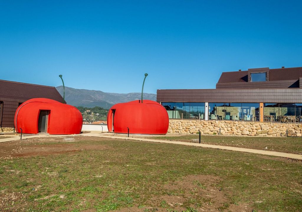 Dormir numa cereja e nadar numa piscina de caroços: conheça o novo ...