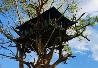 Dormire sospesi in un bosco: le 5 case sull'albero più incredibili d'Italia per un weekend da favola
