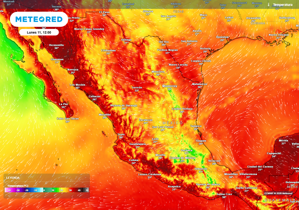 Aunque el calor seguirá al ser algo típico de la época, las lluvias previstas refrescarán notablemente en próximos días, resaltando el Altiplano, pero abarcando más zonas...