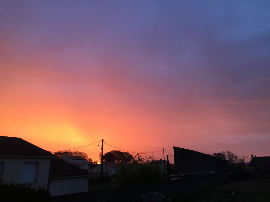 2020 est décidément l'année de tous les records avec une douceur à nouveau remarquable qui n'a pas encore dit son dernier mot...