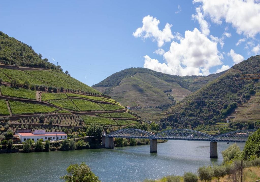 Região Demarcada do Douro Região Demarcada do Douro