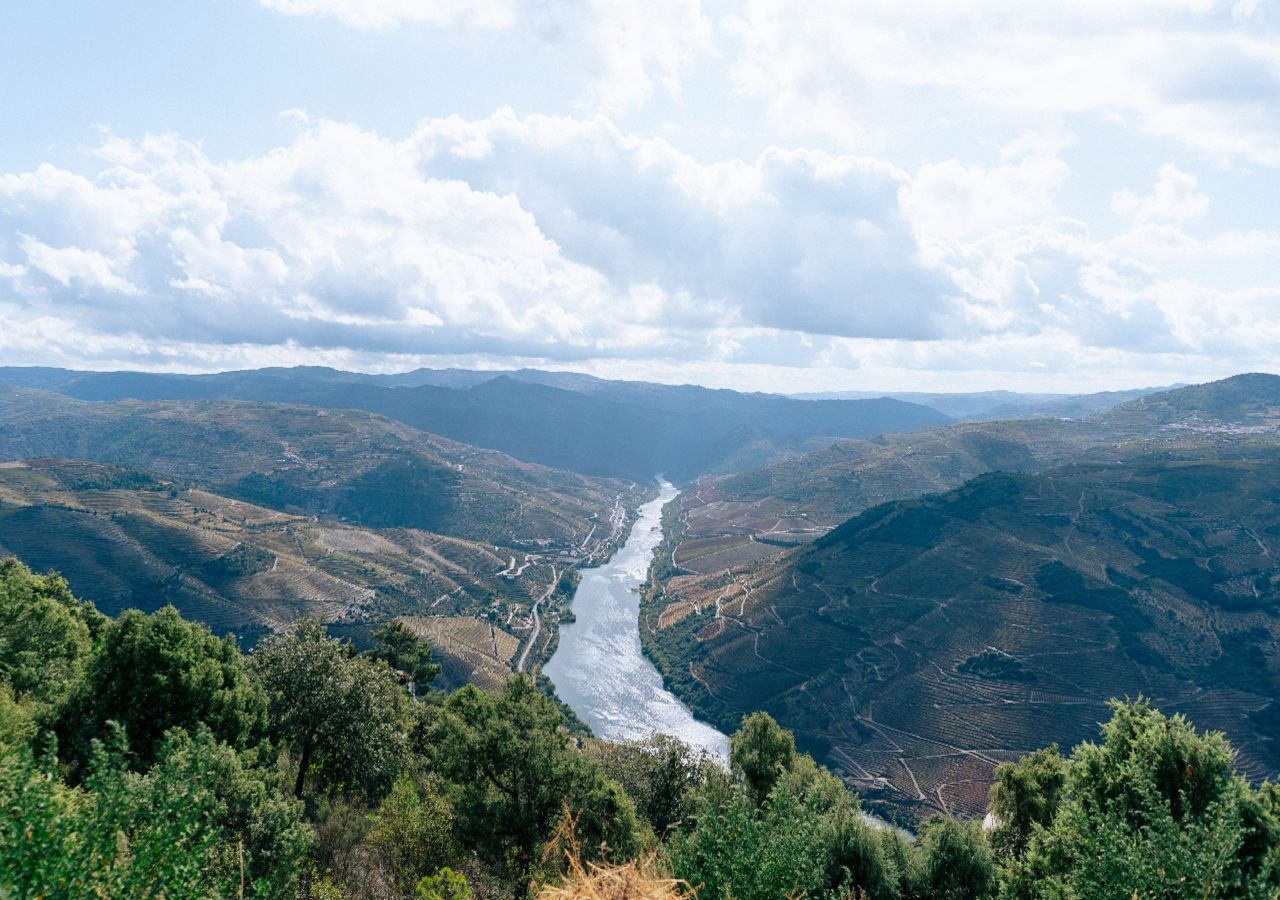 A cultura do azeite no Douro vai dar origem a uma nova rota turística. Foto: Centro interpretativo D’Olival ao Azeite do Douro/Município de Alijó