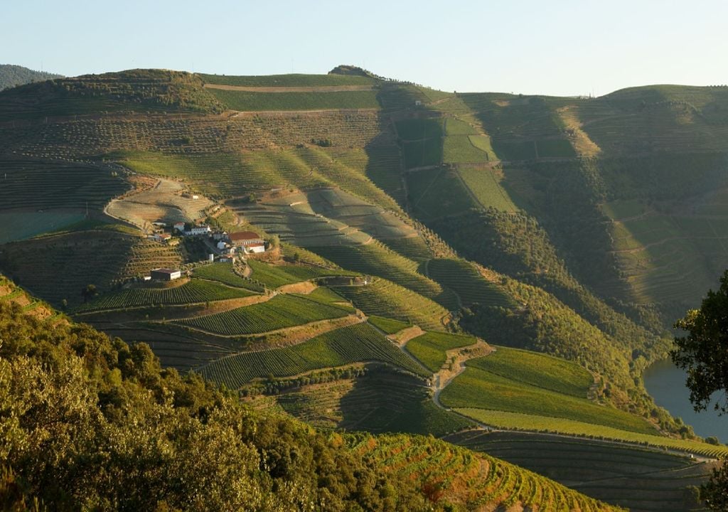 Quinta de Ventoselo, Douro