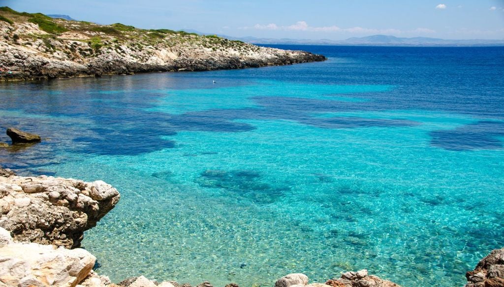 Egadi posidonia A Marettimo l'acqua è così trasparente da consentire alla posidonia di ricevere luce e vivere a maggiore profondità