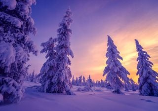 Dove cadr&agrave; la neve a San Silvestro e Capodanno? Ecco le aree interessate