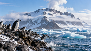 Afirman que la colonia de ping&uuml;inos m&aacute;s grande del mundo, cerca de la Ant&aacute;rtida, sufre una disminuci&oacute;n &ldquo;alarmante&rdquo;
