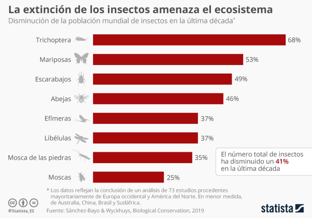 Insectos disminución cambio climático contaminación urbanización Insectos disminución cambio climático contaminación urbanización