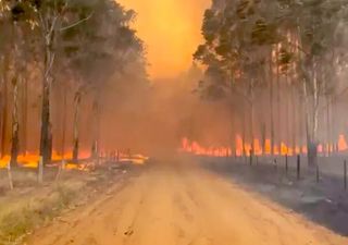 Dramáticos incendios en Corrientes arrasaron ya el 6% del territorio