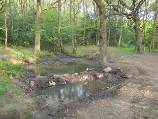 Drought hits North London and Hertfordshire