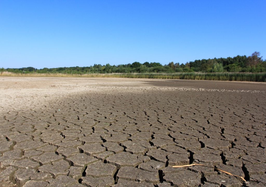 Wildlife Trust nature reserves are at high risk of drought (c) Jim Horsfall