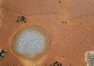 Las tierras secas se están expandiendo y no por la razón que se podría pensar