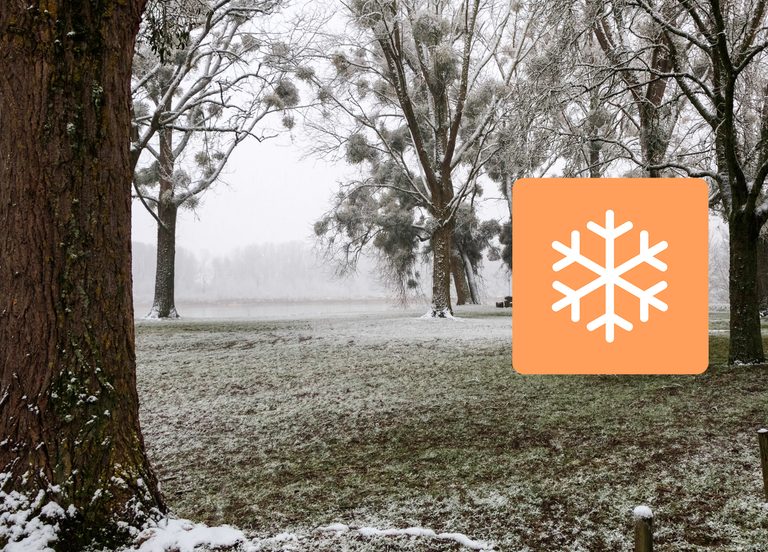 Du froid et de la neige pour ce dimanche en France ! Vigilance activ&eacute;e