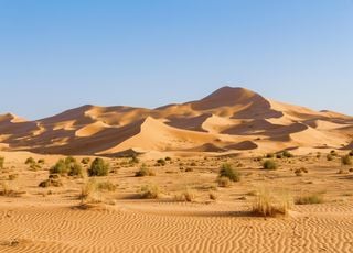 Desde el Sahara hasta la India, los desiertos están cambiando de aspecto: ¿qué oculta realmente este reverdecimiento?
