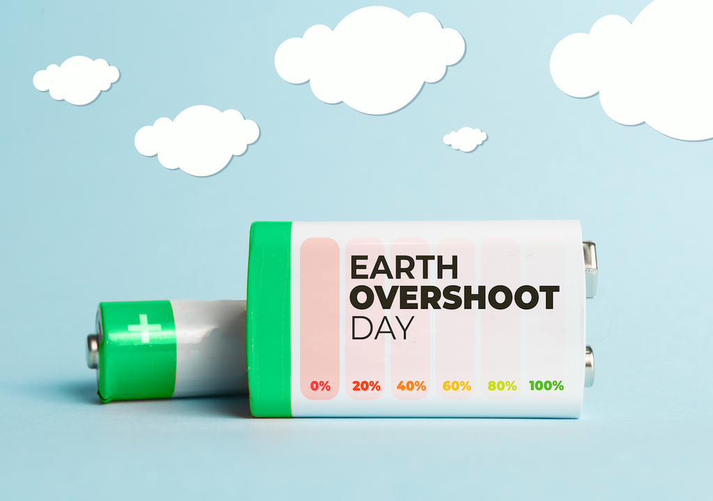 Ressourcen, Earth Overshoot Day, Umwelt