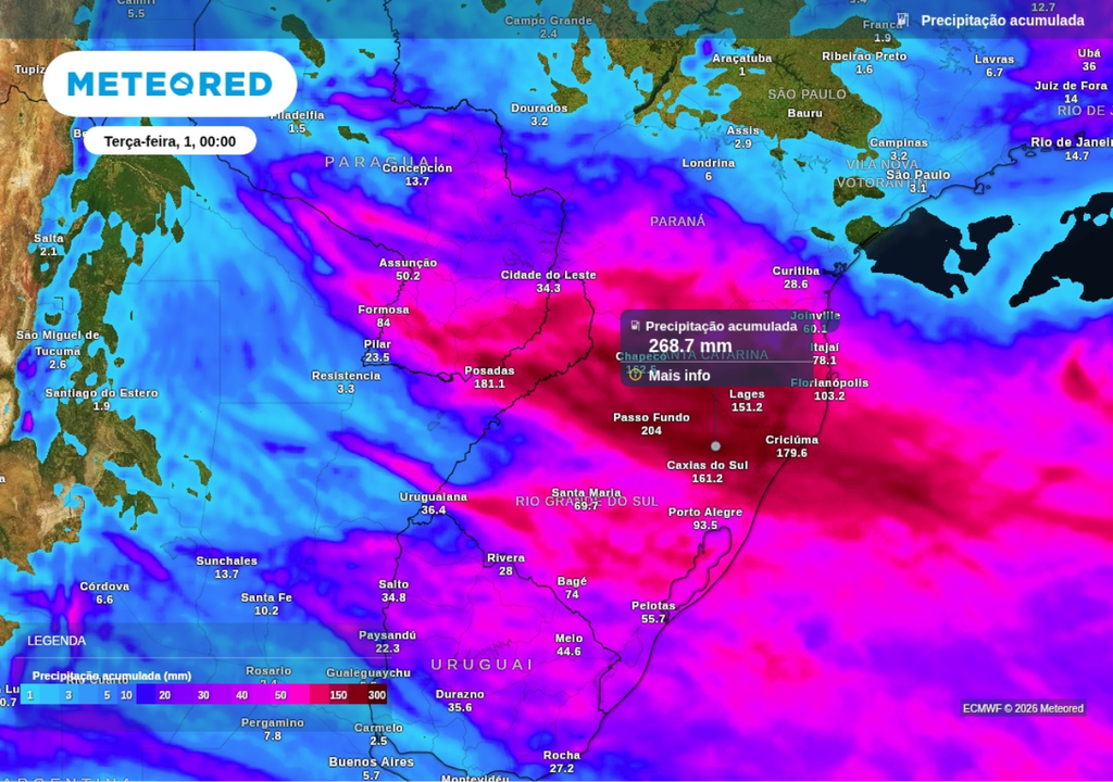 Previsão de chuva acumulada até o final de segunda-feira (31), segundo o ECMWF. Previsão de chuva acumulada até o final de segunda-feira (31), segundo o ECMWF.