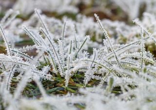Duas frentes frias e intensas massas de ar frio atingem o Brasil nos pr&oacute;ximos 6 dias