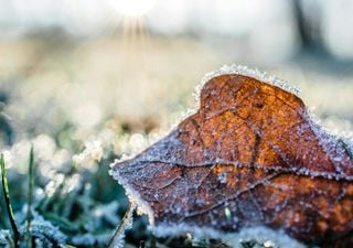 Duas massas de ar frio vão atuar no Brasil nesta semana; saiba o que esperar