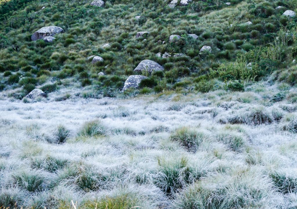 Geada registrada em Itatiaia. Geada registrada em Itatiaia.
