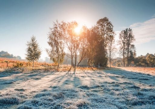 Duas massas de ar frio trazem friagem, geadas e frio at&iacute;pico por per&iacute;odo prolongado; confira