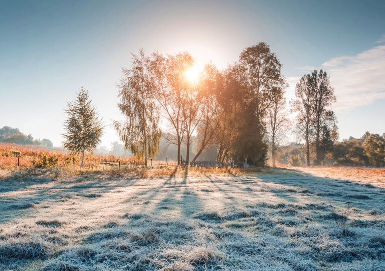 Duas massas de ar frio trazem friagem, geadas e frio at&iacute;pico por per&iacute;odo prolongado; confira