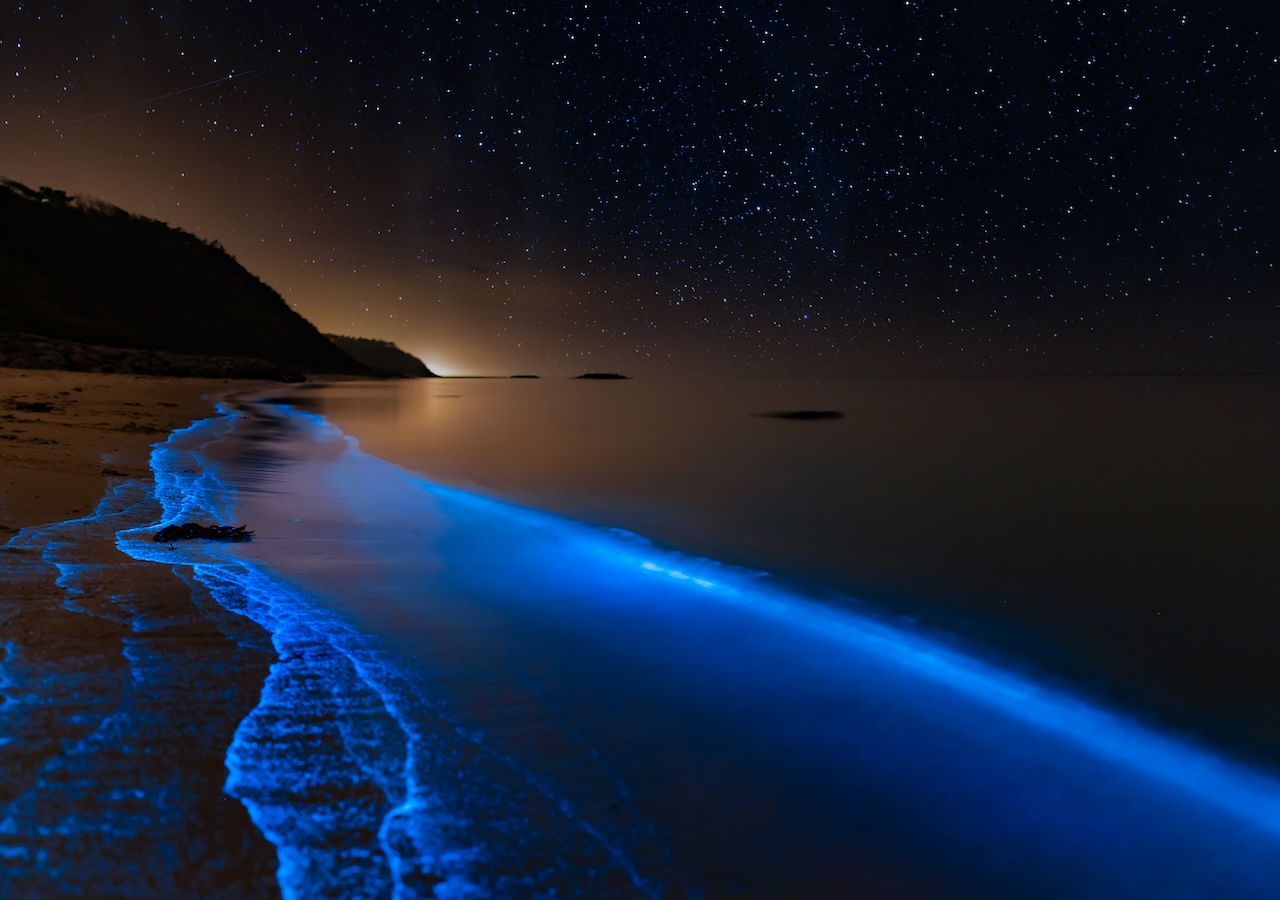 Bioluminescenza nel Mare del Nord, nelle coste della Danimarca: benchè spettacolare e affascinante, questo fenomeno è connesso con variazioni variazioni della temperatura e della salinità del mare, spesso legate a cambiamenti climatici e a fioriture anomale di microrganismi marini sensibili alle condizioni ambientali.