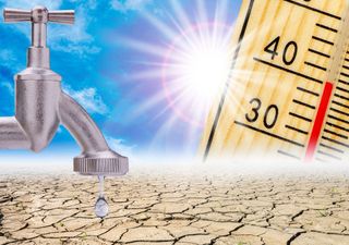 Rekord-Dürre: Wann gibt es in Deutschland endlich wieder Regen?