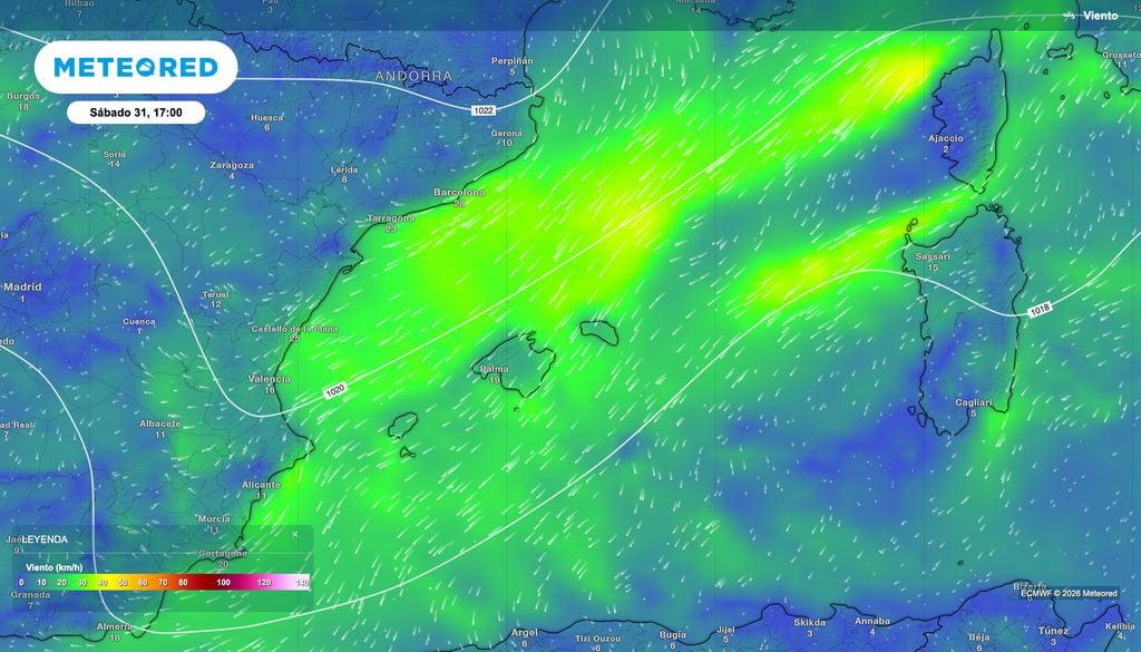 Un flujo de viento del nordeste movilizará aire cálido y húmedo desde el Golfo de Génova hasta las costas de la Comunidad Valenciana. Fuente: modelo europeo.