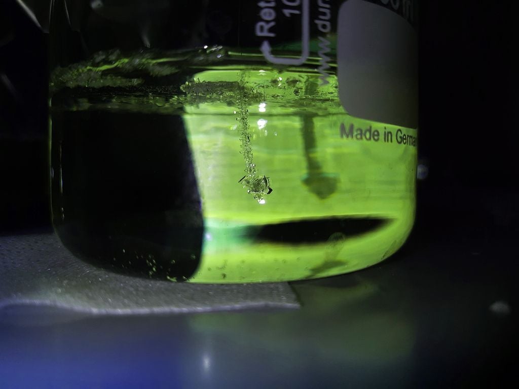 In einem Reagenzglas mit einer hochkonzentrierten Zuckerlösung haben sich an einem Nylonfaden Saccharose-Kristalle gebildet. Bild: Beatrice Mauri