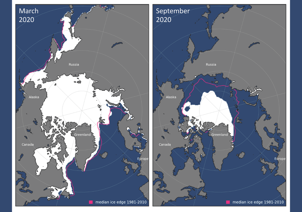 Extensión del hielo marino ártico en 2020: máximo de marzo (izq.) y mínimo de septiembre (der.). La línea rosa es el borde medio de 1981–2010. En verano el hielo queda muy por dentro de esa referencia. Créditos: NOAA Arctic Report Card / NSIDC Sea Ice Index.