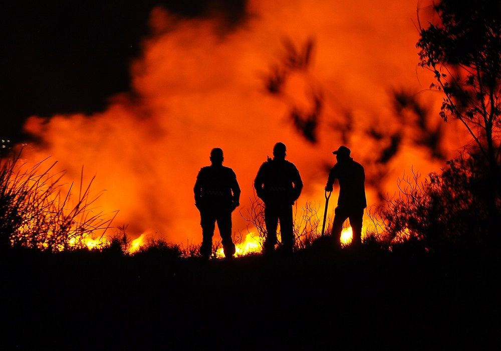 Incendio en Parque Ecológico Xochimilco. Fotografía: Notimex