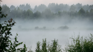 Durante el oto&ntilde;o la niebla en M&eacute;xico se vuelve m&aacute;s frecuente: descubre por qu&eacute; los valles y lagos amanecen cubiertos