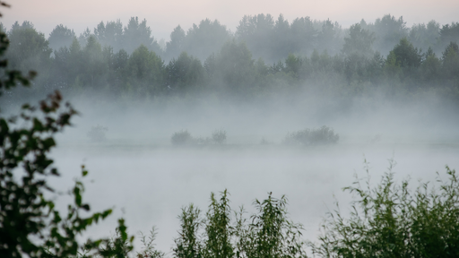 Durante el oto&ntilde;o la niebla en M&eacute;xico se vuelve m&aacute;s frecuente: descubre por qu&eacute; los valles y lagos amanecen cubiertos