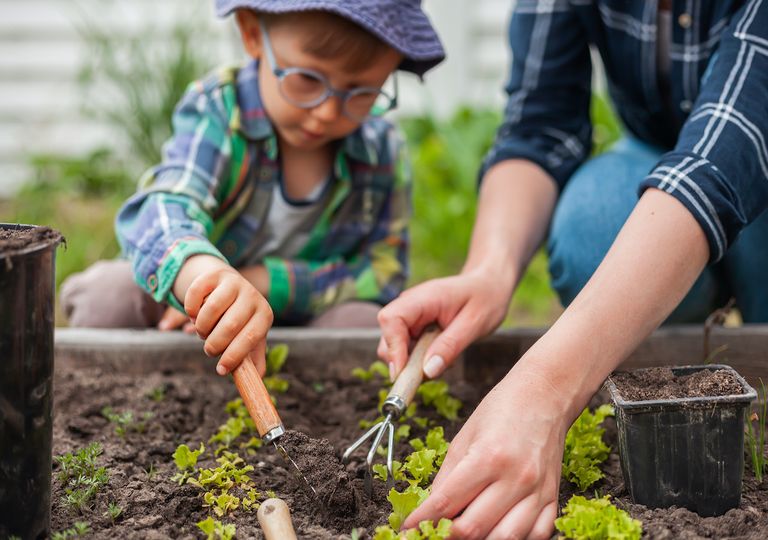 La estación del VERANO: curiosidades para vivir y aprender