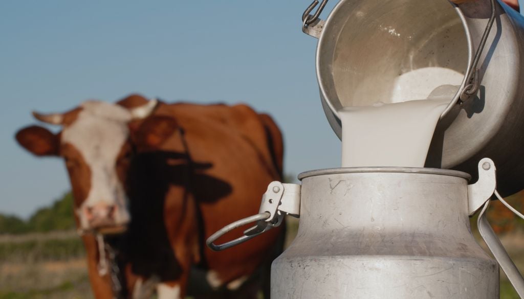 Milch wird in Deutschland immer noch sehr gern getrunken