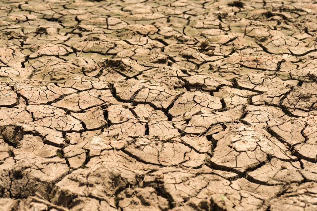 Trockenheit Dürre Böden