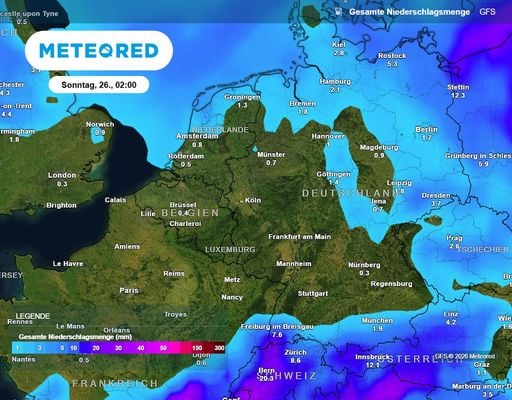 D&uuml;rre in Deutschland: Fl&uuml;sse so niedrig wie nie seit 1900 &ndash; wann kommt endlich Regen?