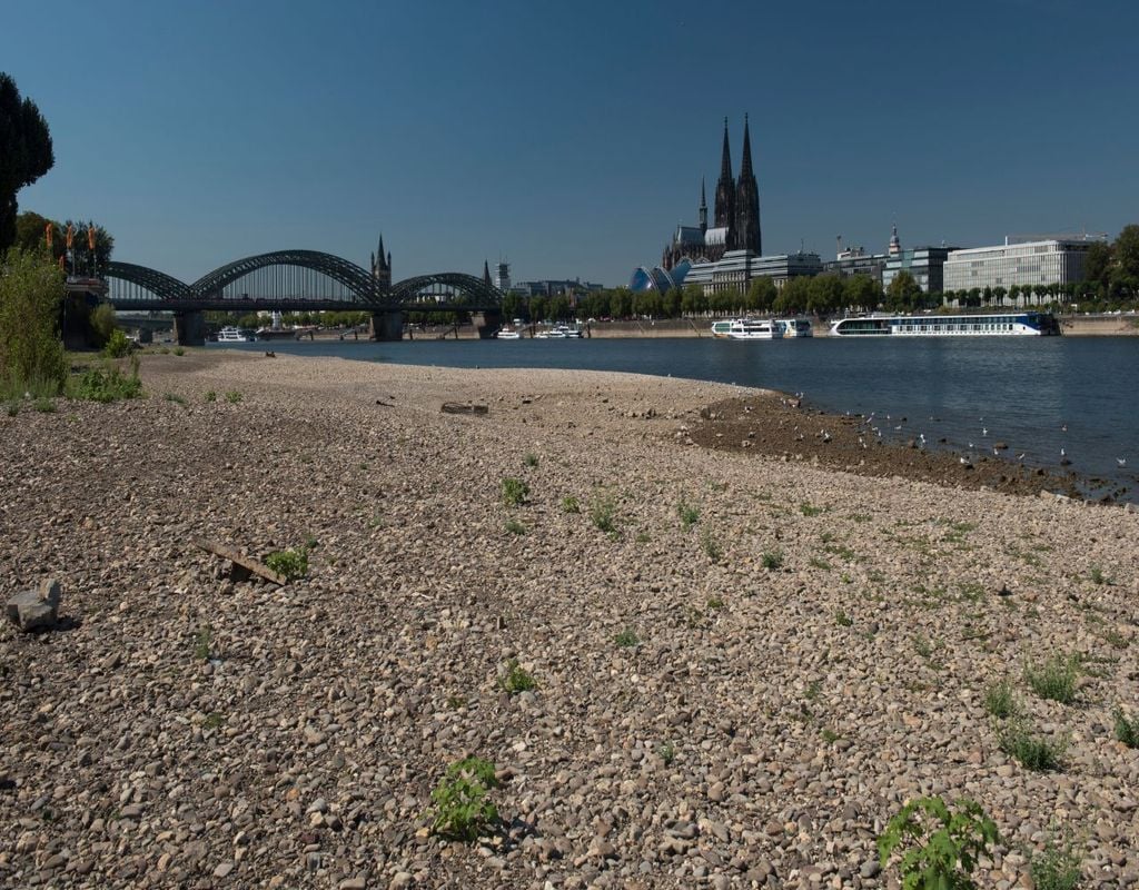 rhein, trocken, wetter Der Rhein trocknet immer weiter aus! Wie hier bei Köln zeigen sich häufig Sandbänke.