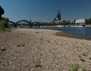 D&uuml;rre-Trend in Deutschland: Ist es jetzt schlimmer als 2003? Rhein f&auml;llt auf Rekord-Tief