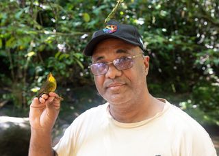 Tetraca-escuro: ave que se temia estar extinta é redescoberta em Madagáscar