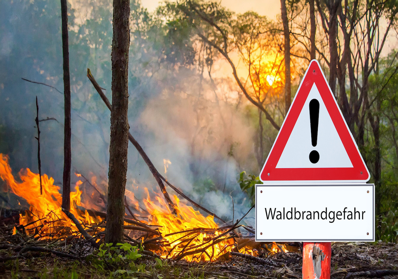 Die Walbrandgefahr in Deutschland ist akut- und zumTeil bereits hoch!