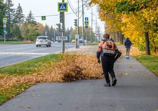 Sopladores de hojas: ¿limpieza o contaminación? Estudios aclaran el impacto sobre el smog y el ruido