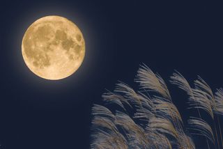 È imminente, arriva la Luna piena di febbraio: questa è la data e l'ora in cui sorgerà in Italia