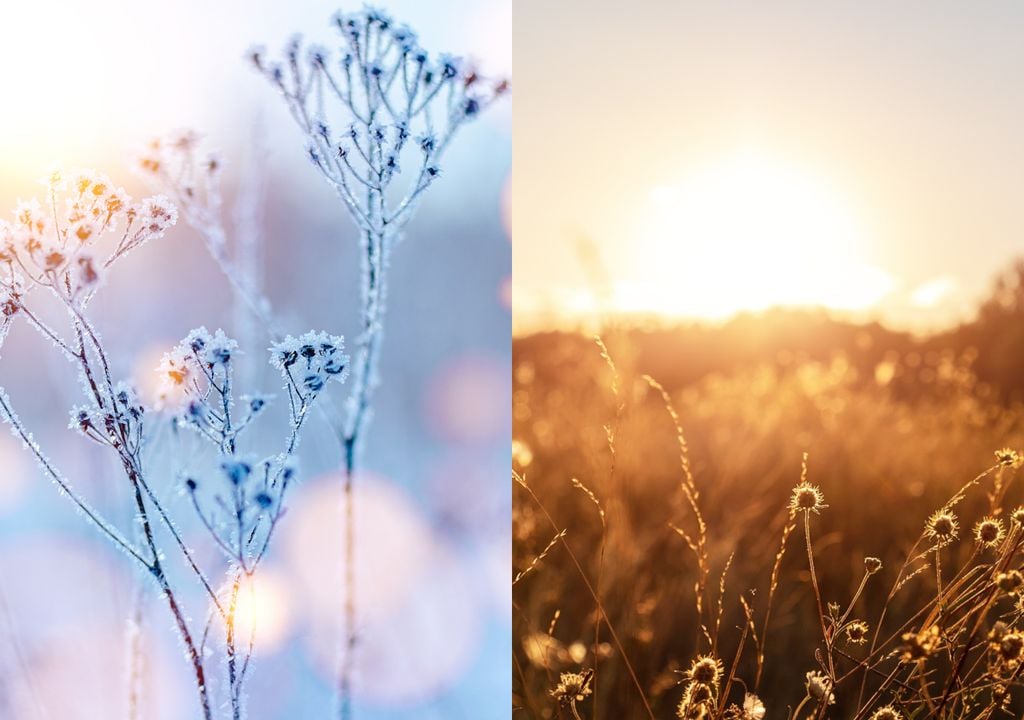 Embora amplamente noticiado, não há dados que indiquem que o próximo inverno será extremamente rigoroso - na verdade, previsões indicam um inverno mais quente que o normal.
