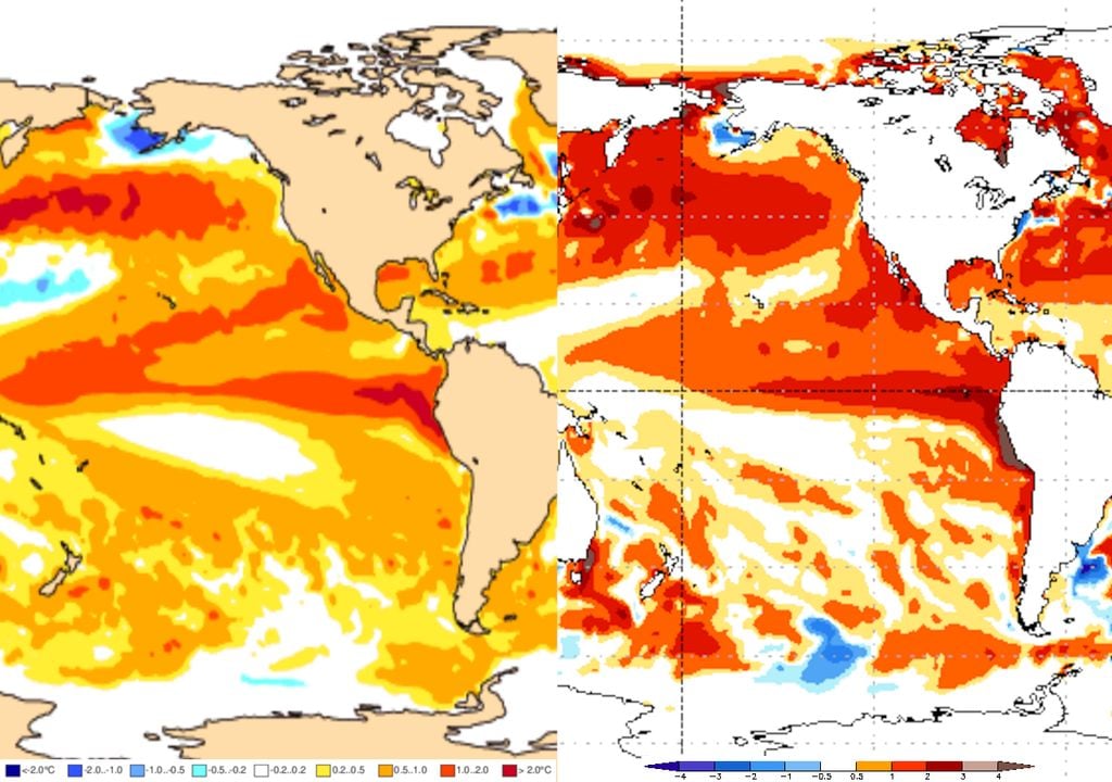 Previsão de anomalias de temperatura da superfície do oceano - modelos ECMWF trimestral Abril-Maio-Junho (esquerda) e CFSV2 mensal para Junho (direita) ambos mostram aquecimento.