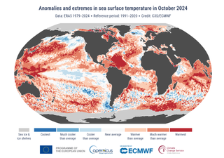 Copernicus: o ano de 2024 será o mais quente já registado e o primeiro a superar 1,5 °C da média pré-industrial