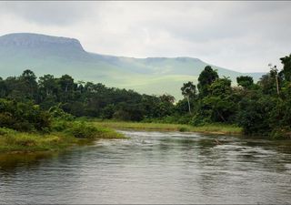 È stato scoperto il fiume più scuro della Terra, si trova nel cuore dell'Africa