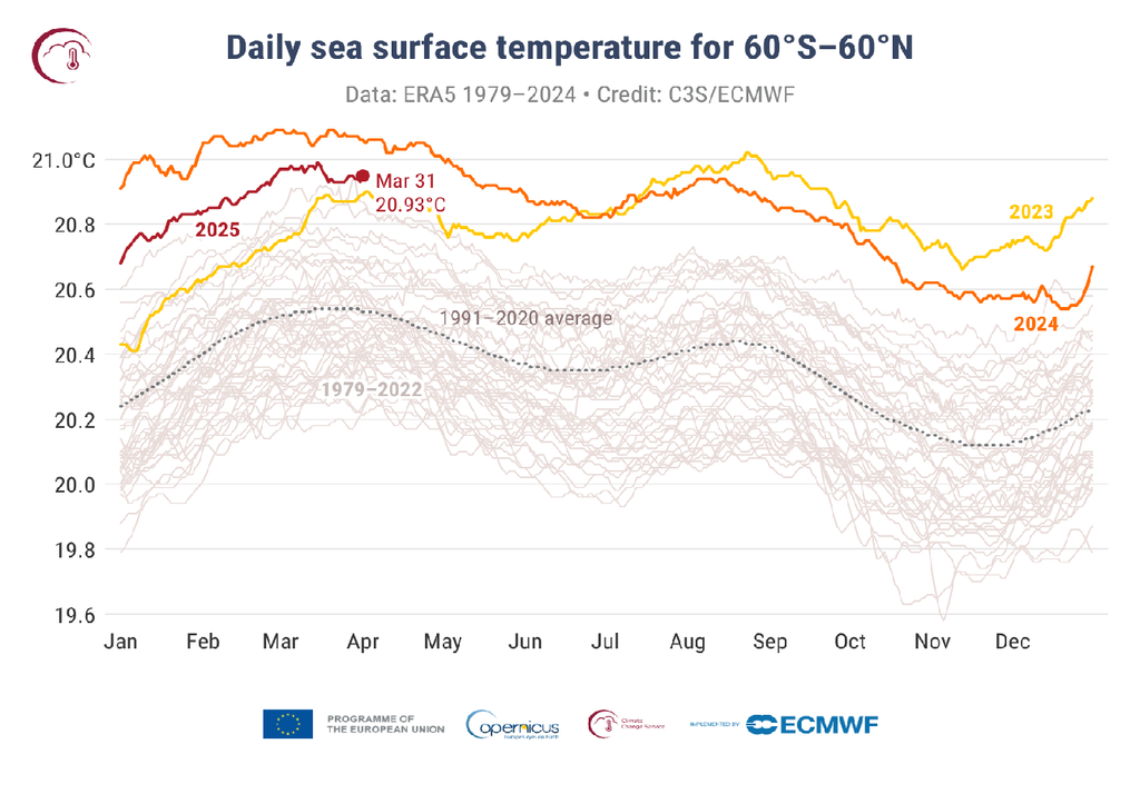 Anomalia temperatura oceani
