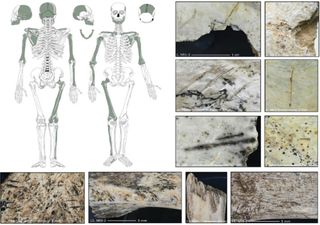 Early human Northern European ate the flesh of their enemies during times of war, researchers speculate